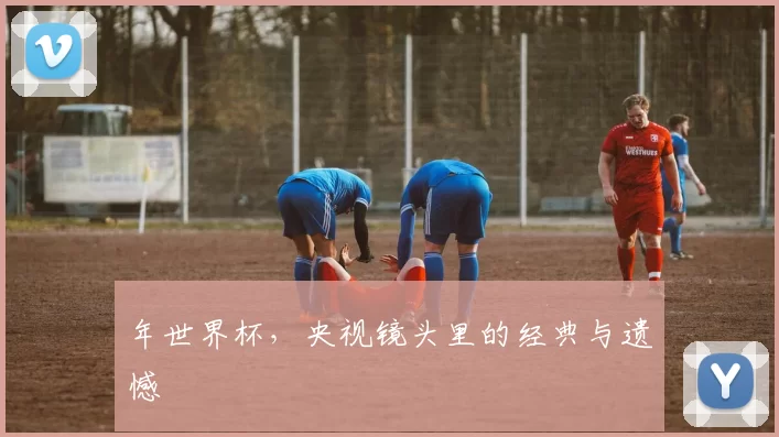 年世界杯,央视镜头里的经典与遗憾