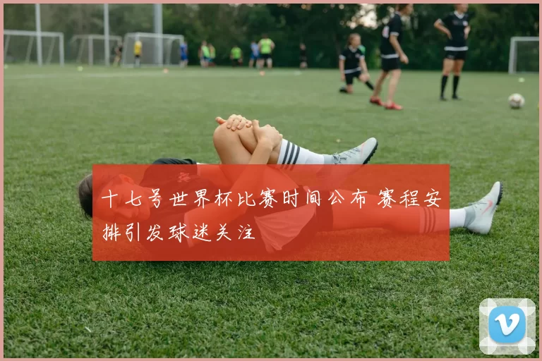 十七号世界杯比赛时间公布 赛程安排引发球迷关注
