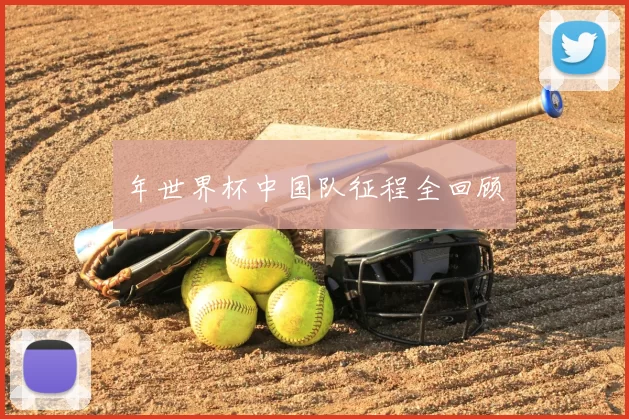年世界杯中国队征程全回顾