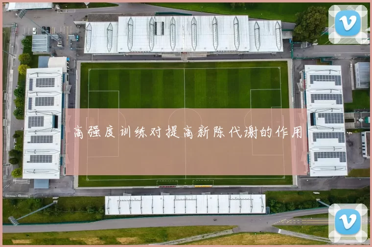 高强度训练对提高新陈代谢的作用