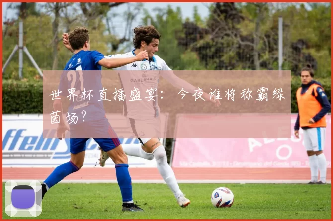 世界杯直播盛宴:今夜谁将称霸绿茵场?