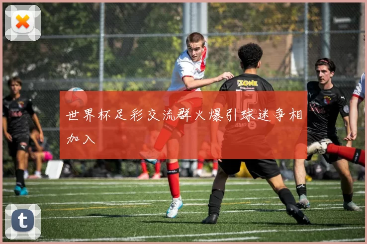 世界杯足彩交流群火爆引球迷争相加入