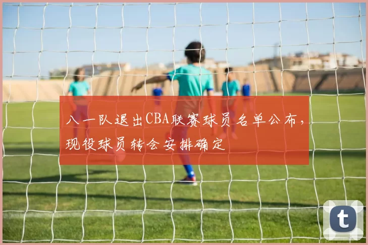八一队退出CBA联赛球员名单公布,现役球员转会安排确定