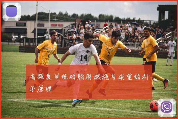 高强度训练对脂肪燃烧与减重的科学原理