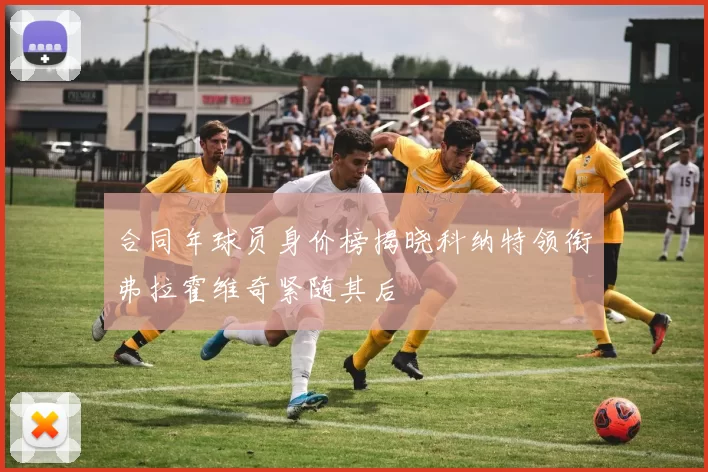 合同年球员身价榜揭晓科纳特领衔弗拉霍维奇紧随其后