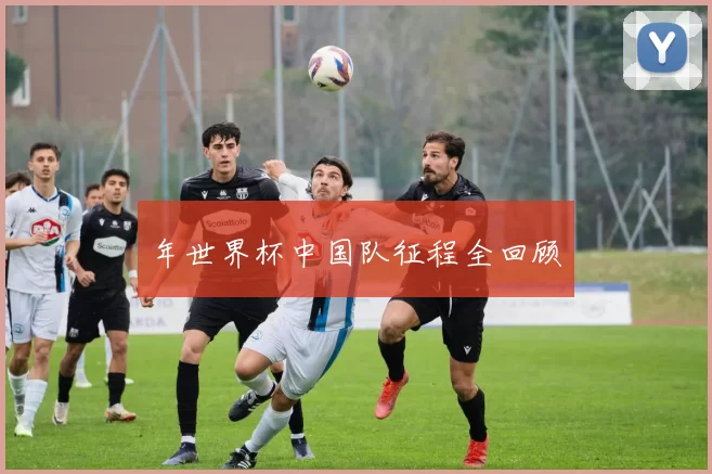 年世界杯中国队征程全回顾