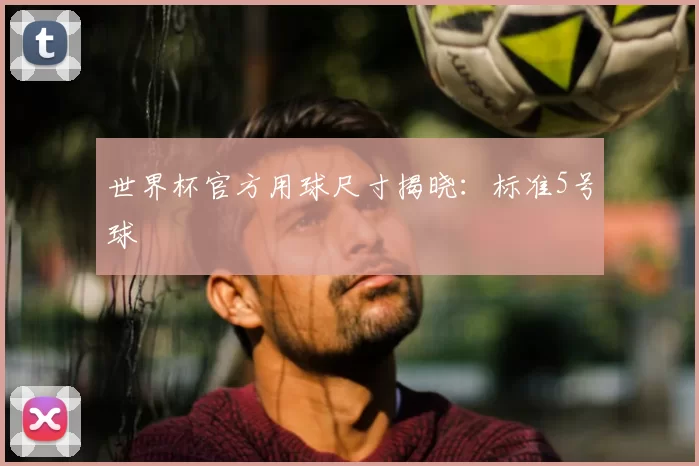 世界杯官方用球尺寸揭晓:标准5号球