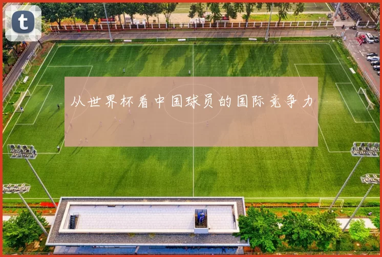 从世界杯看中国球员的国际竞争力