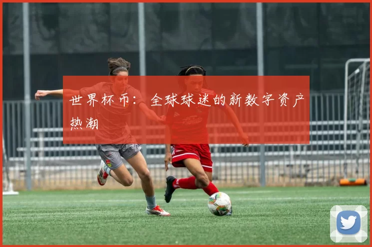 世界杯币：全球球迷的新数字资产热潮
