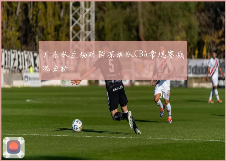 广东队主场对阵深圳队CBA常规赛战况分析