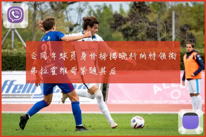 合同年球员身价榜揭晓科纳特领衔弗拉霍维奇紧随其后