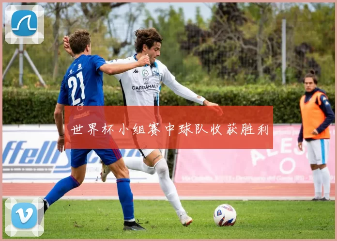 世界杯小组赛中球队收获胜利