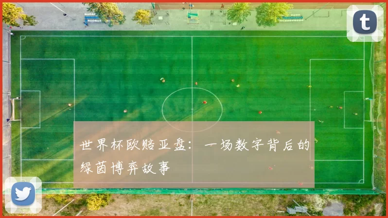 世界杯欧赔亚盘:一场数字背后的绿茵博弈故事