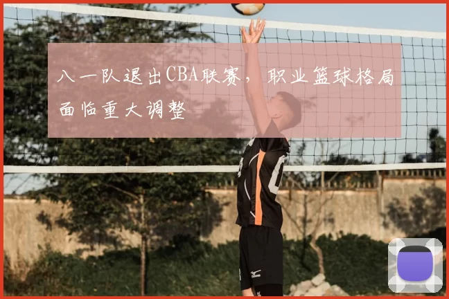 八一队退出CBA联赛,职业篮球格局面临重大调整