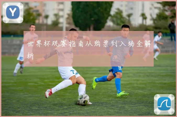 世界杯观赛指南从购票到入场全解析