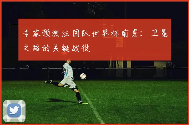 专家预测法国队世界杯前景:卫冕之路的关键战役