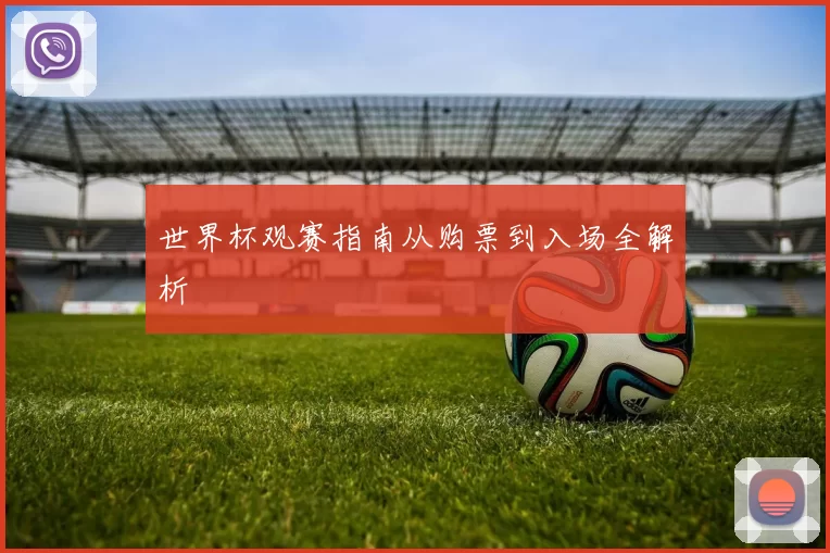 世界杯观赛指南从购票到入场全解析