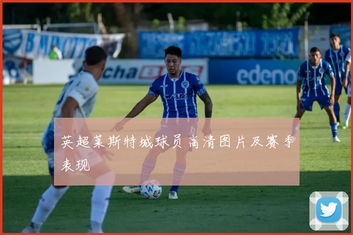 英超莱斯特城球员高清图片及赛季表现