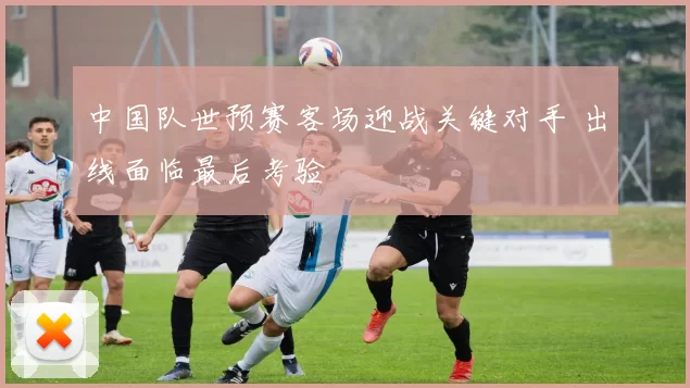 中国队世预赛客场迎战关键对手 出线面临最后考验