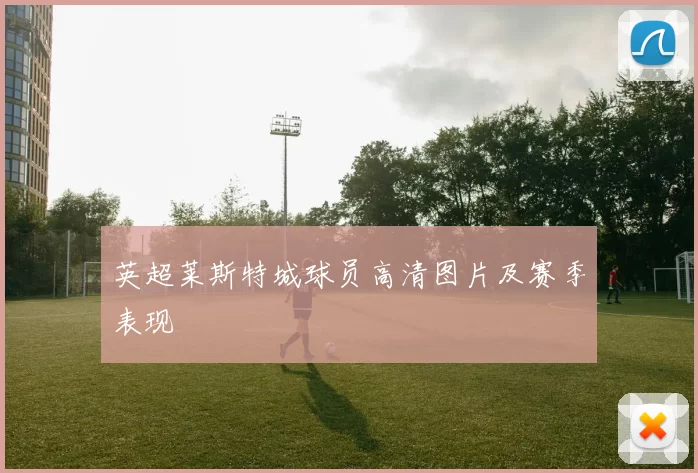 英超莱斯特城球员高清图片及赛季表现