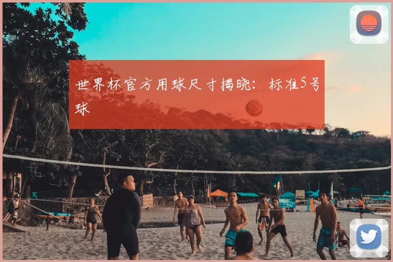 世界杯官方用球尺寸揭晓：标准5号球