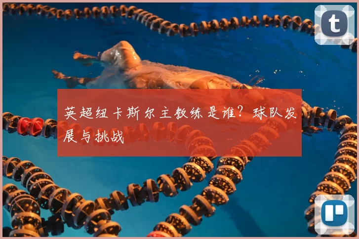 英超纽卡斯尔主教练是谁?球队发展与挑战
